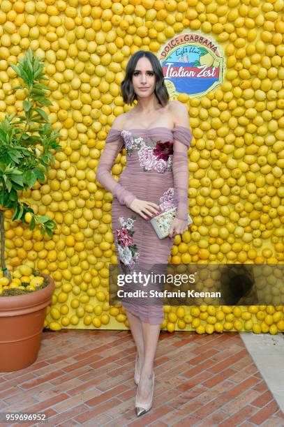 Louise Roe attends the Dolce & Gabbana Light Blue Italian Zest Launch Event at the NoMad Hotel Los Angeles on May 17, 2018 in Los Angeles, California.