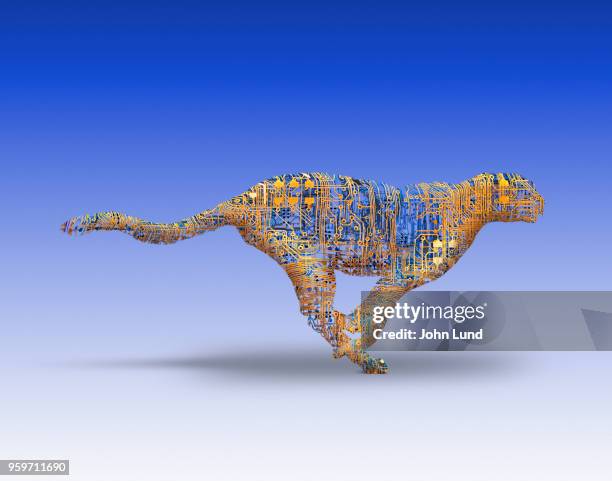 Cheetah Computer 228 Cheetah Vision Stock Photos, High-Res Pictures, and Images - Getty ...