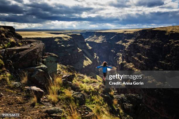 woman in blue jacket stands at brink of bruneau canyon with arms outstretched, southwestern idaho - anna gorin stock pictures, royalty-free photos & images