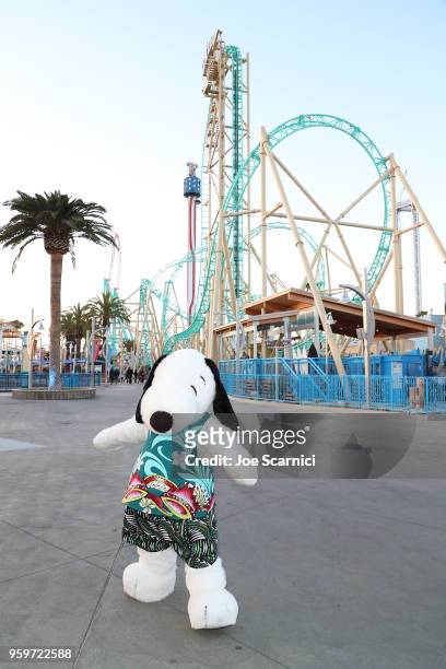 Snoopy attends the Knott's Berry Farm kick off preview party launching new dive coaster - HangTime at Knott's Berry Farm on May 17, 2018 in Buena...