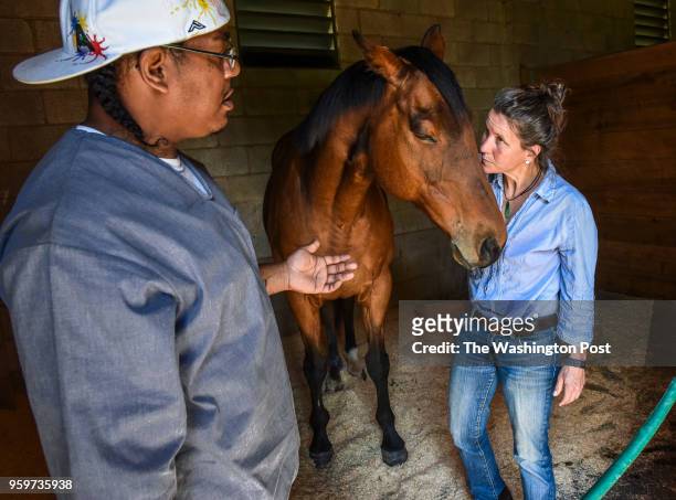 Pablo Lancaster, left, talks with Sarah Stein, right, while caring for Poppa, center, at Second Chances, a farm that rescues retired racehorses from...