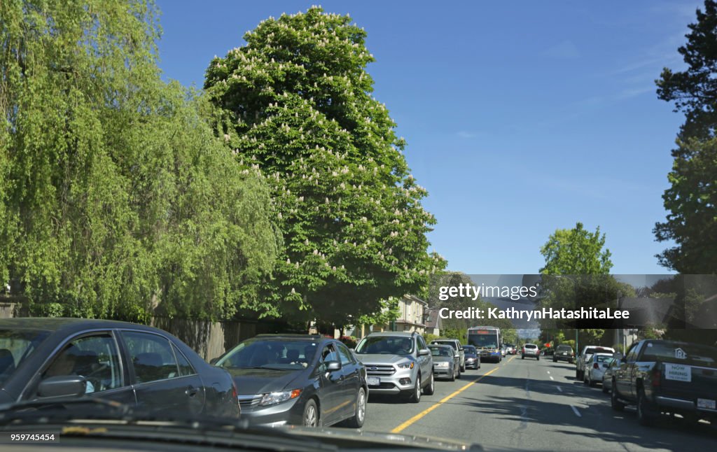 Macdonald Street i stadsdelen Kitsilano, Vancouver, Kanada