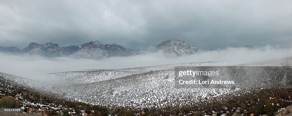 Red Rock Canyon National Conservation Area