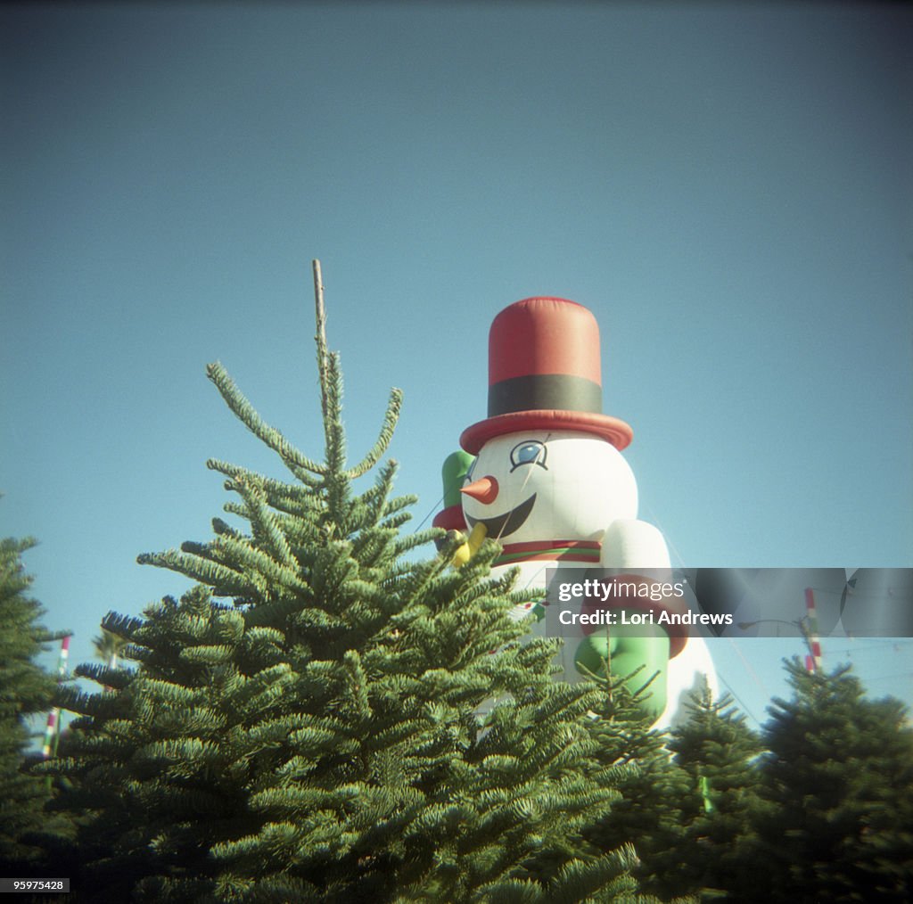 Giant Stay Puffed Forest Dwelling Snowman