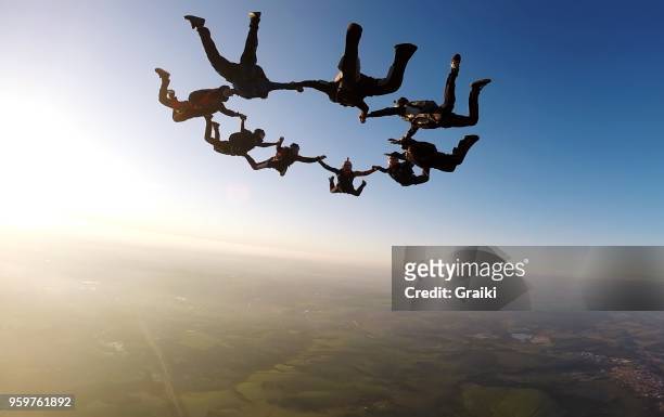 skydiving group at the sunset - sports team stock pictures, royalty-free photos & images