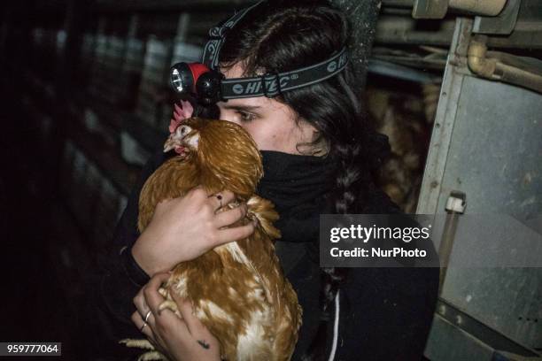 Activists from the animal cause have invested a hen house to get out about twenty hens in the Rhone-Alpes region, France, May 18, 2018. At the call...