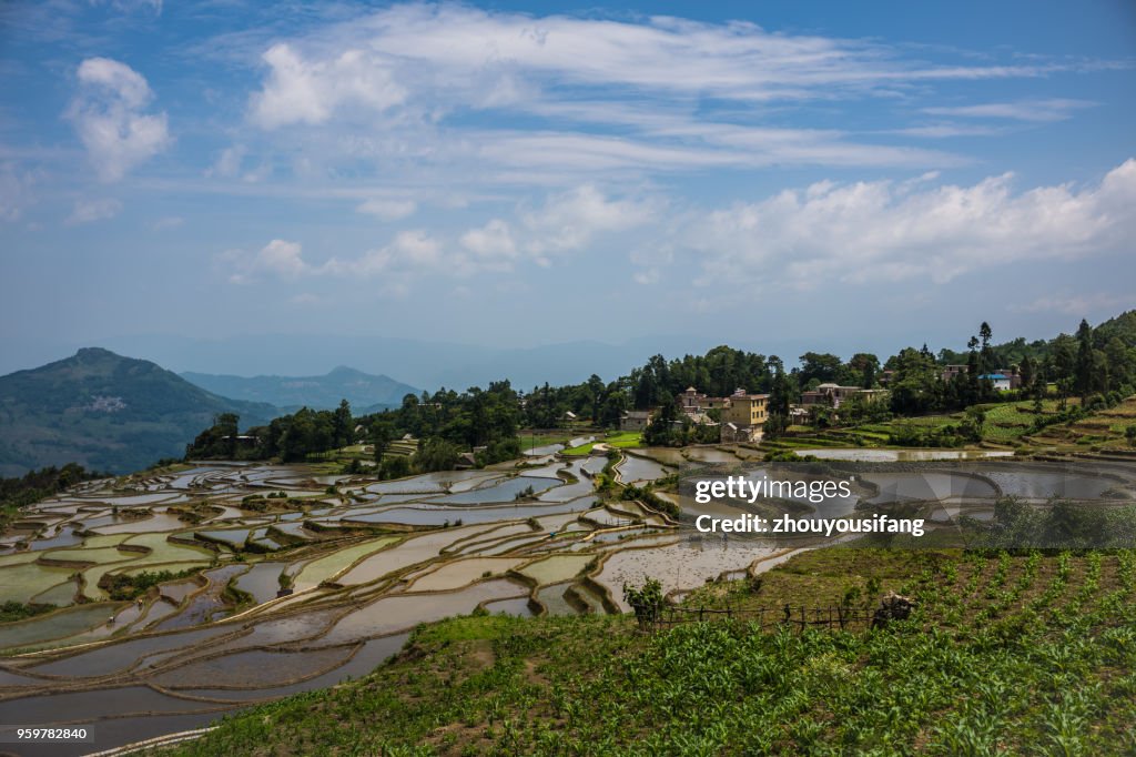The scenery of the terraced fields