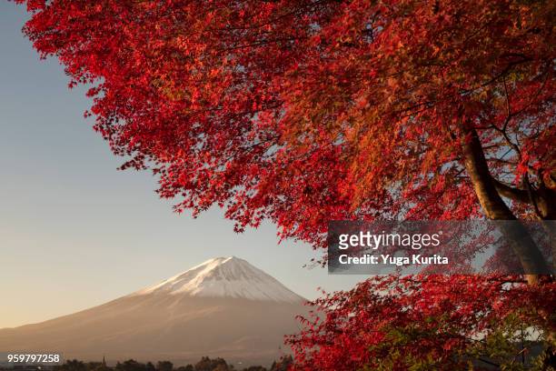 mt. fuji in autumn - yuga kurita stock pictures, royalty-free photos & images
