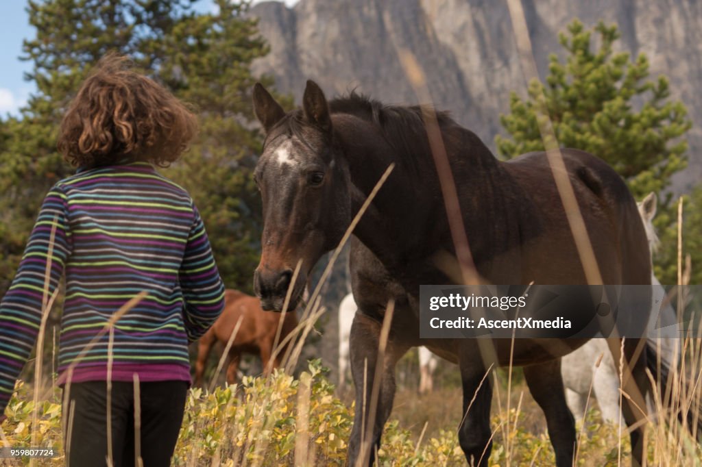 Mixed race girl connects with horses below mountains