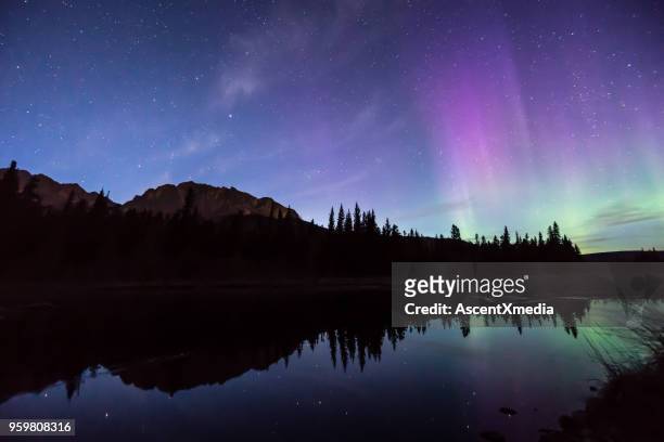 aurora boreal (aurora boreal) reflete em um lago de montanha - kananaskis - fotografias e filmes do acervo