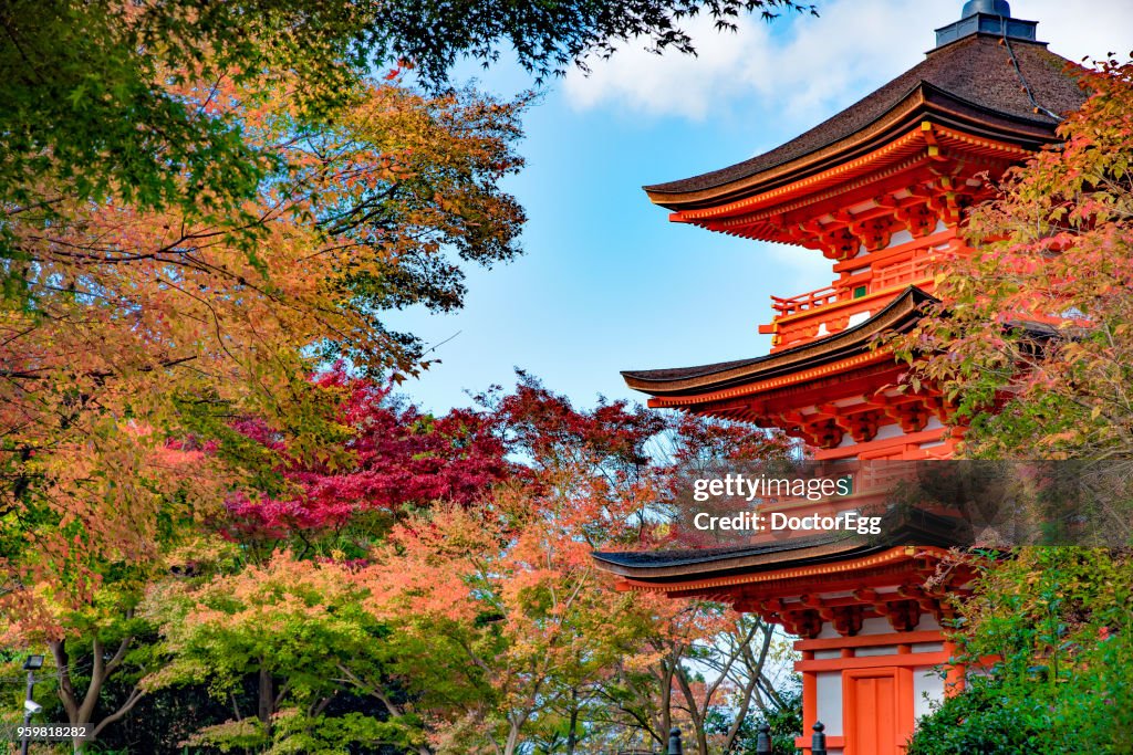 Three Storey Red Pagoda at Kiyomizu-dera Temple, Kyoto, Japan in Autumn