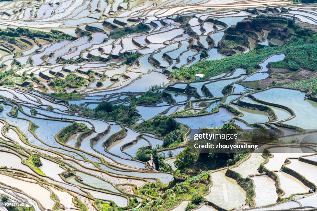 Spring terraces and farmers working in terraced fields