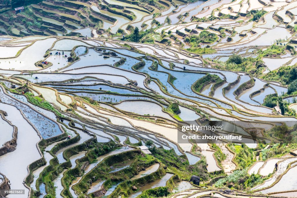 Spring terraces and farmers working in terraced fields