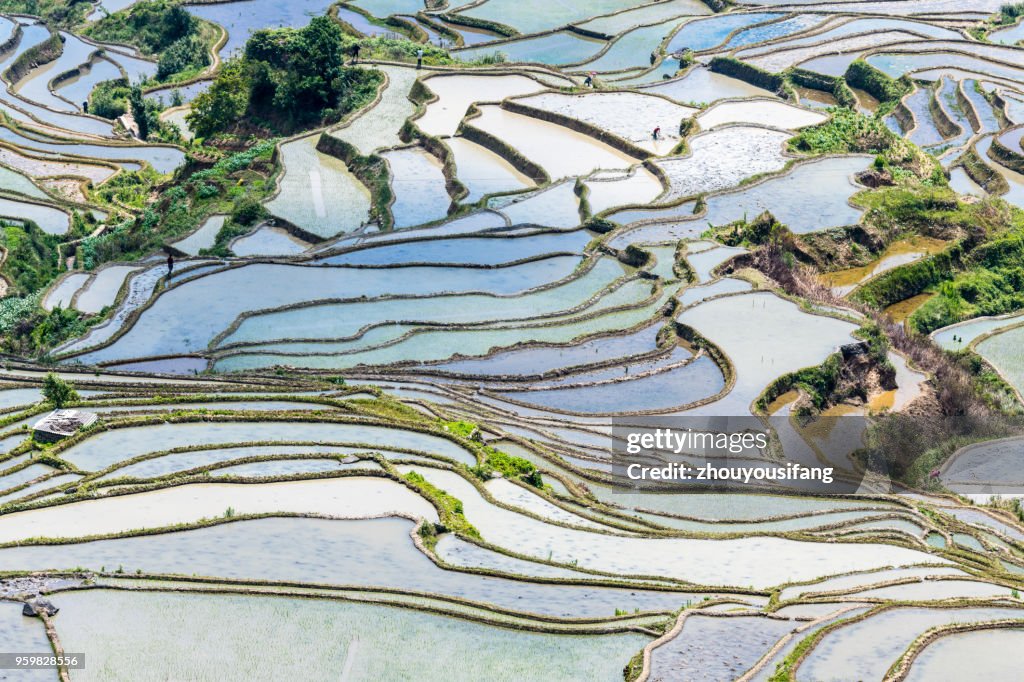 Spring terraces and farmers working in terraced fields
