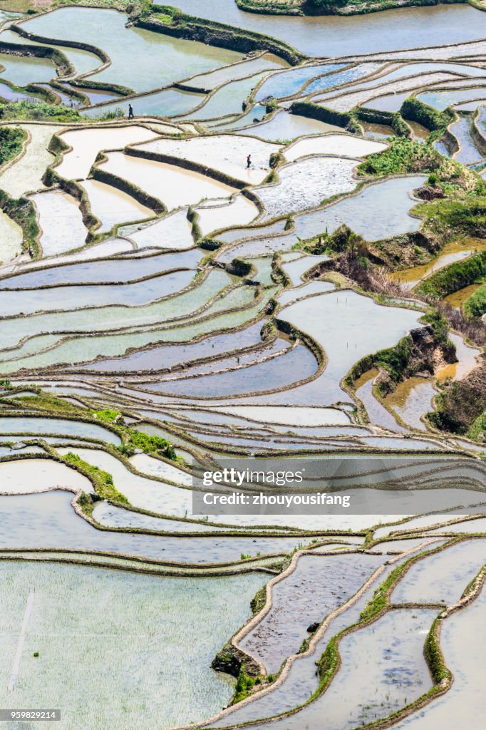 Spring terraces and farmers working in terraced fields