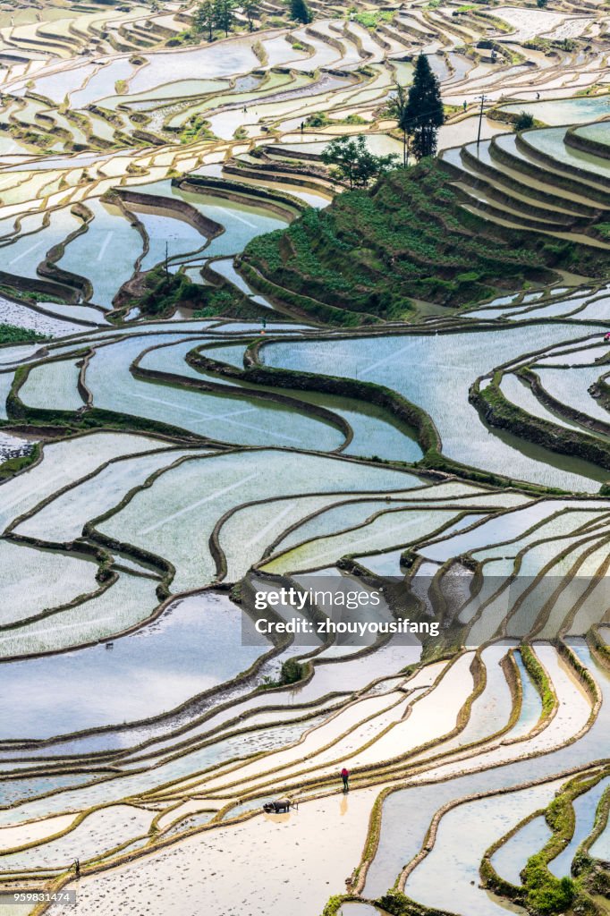 Spring terraces and farmers working in terraced fields