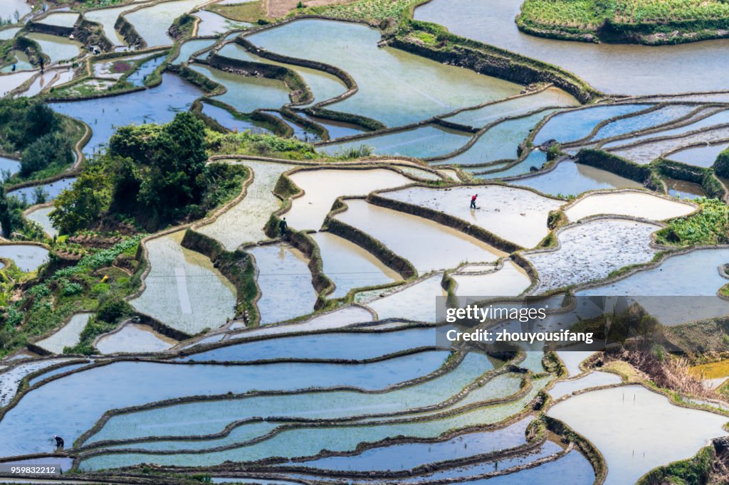 The colorful terraces and farmers working in terraced fields