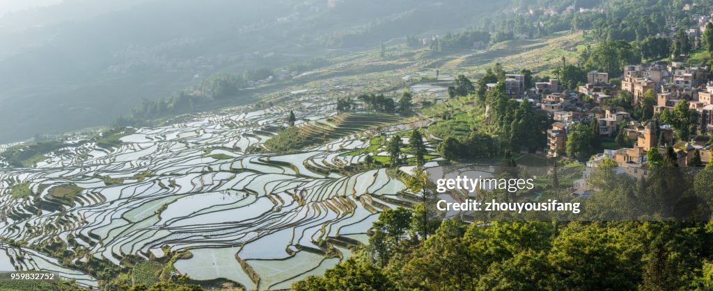 The landscape of terraced fields