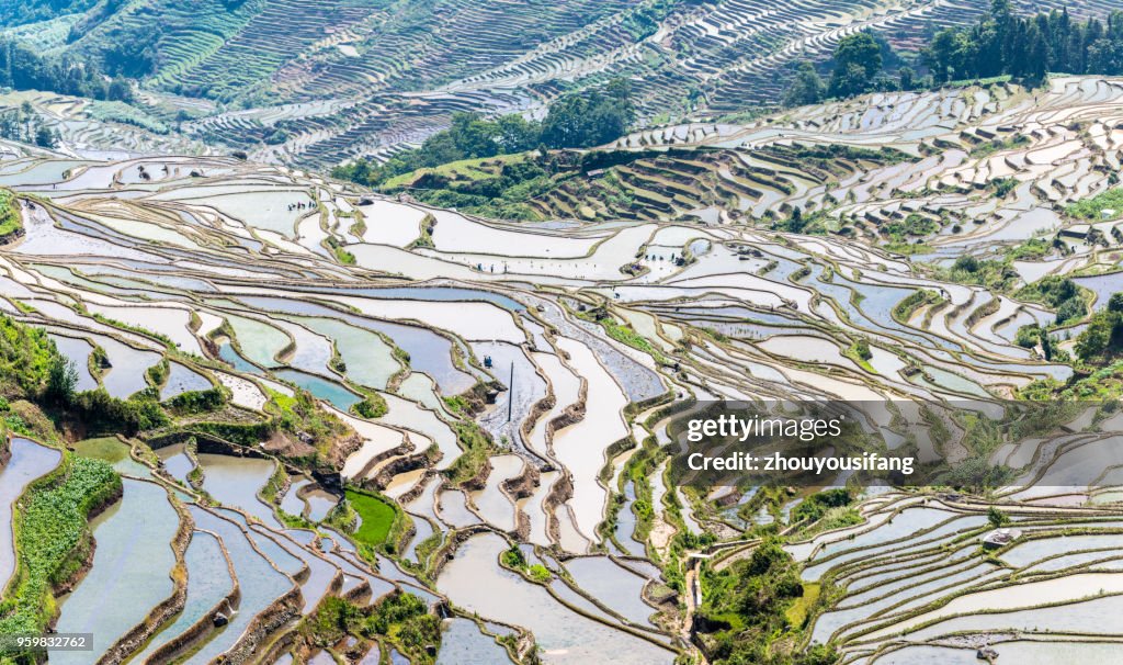 The landscape of terraced fields