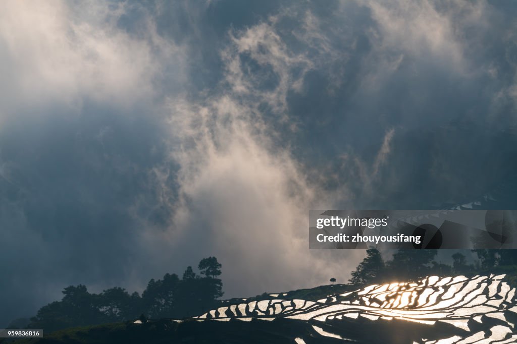 The cloud sea and the terraced fields