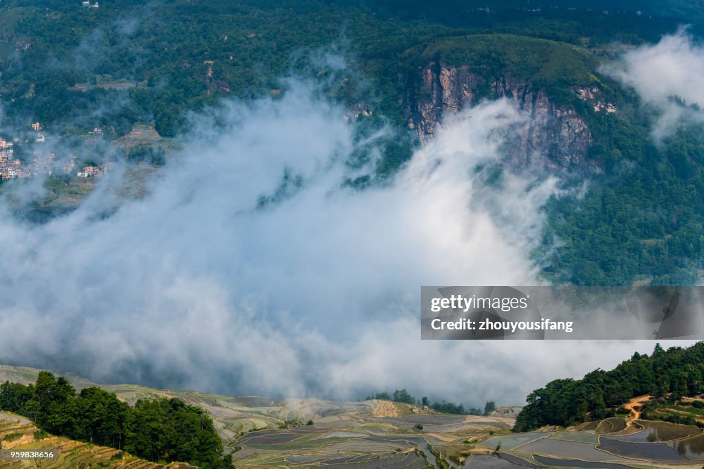 The cloud sea and the terraced fields