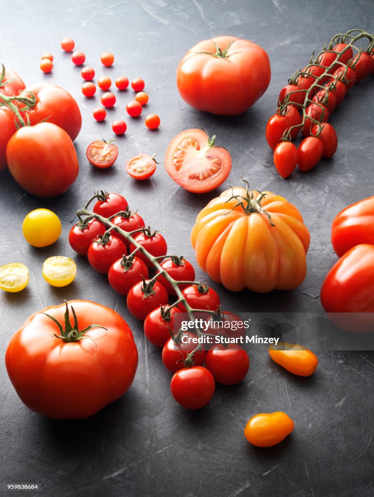Group of different types of tomatoes