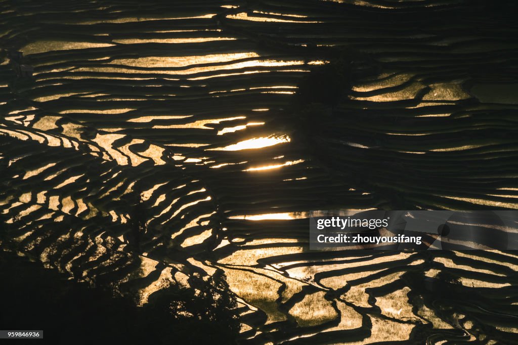 The terraced fields