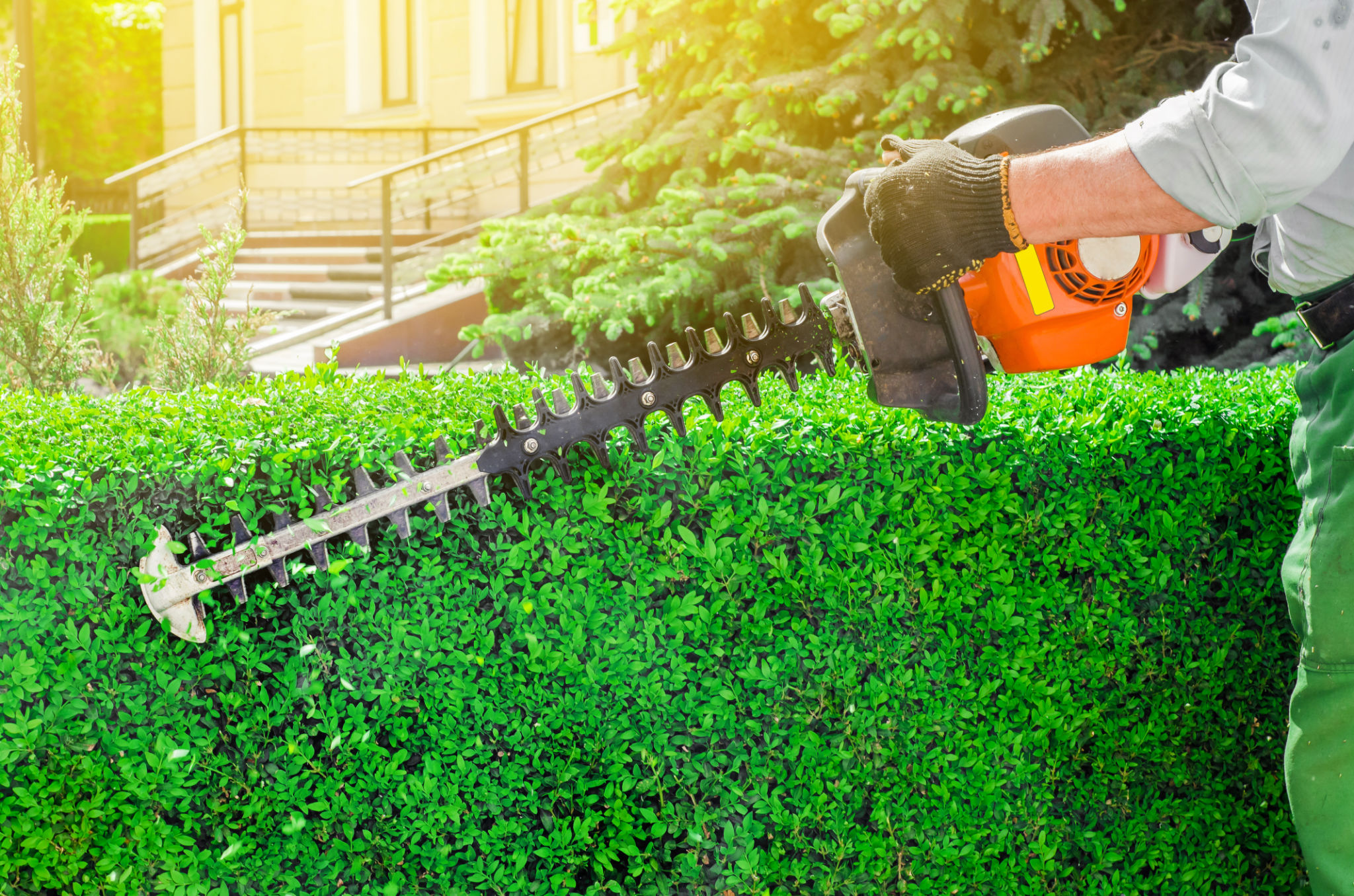 pruning tools