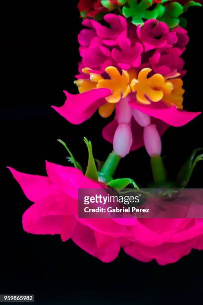 phuang malai: a thai floral garland - mulai stock pictures, royalty-free photos & images