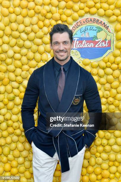 David Gandy attends the Dolce & Gabbana Light Blue Italian Zest Launch Event at the Nomad Hotel Los Angeles on May 17, 2018 in Los Angeles,...