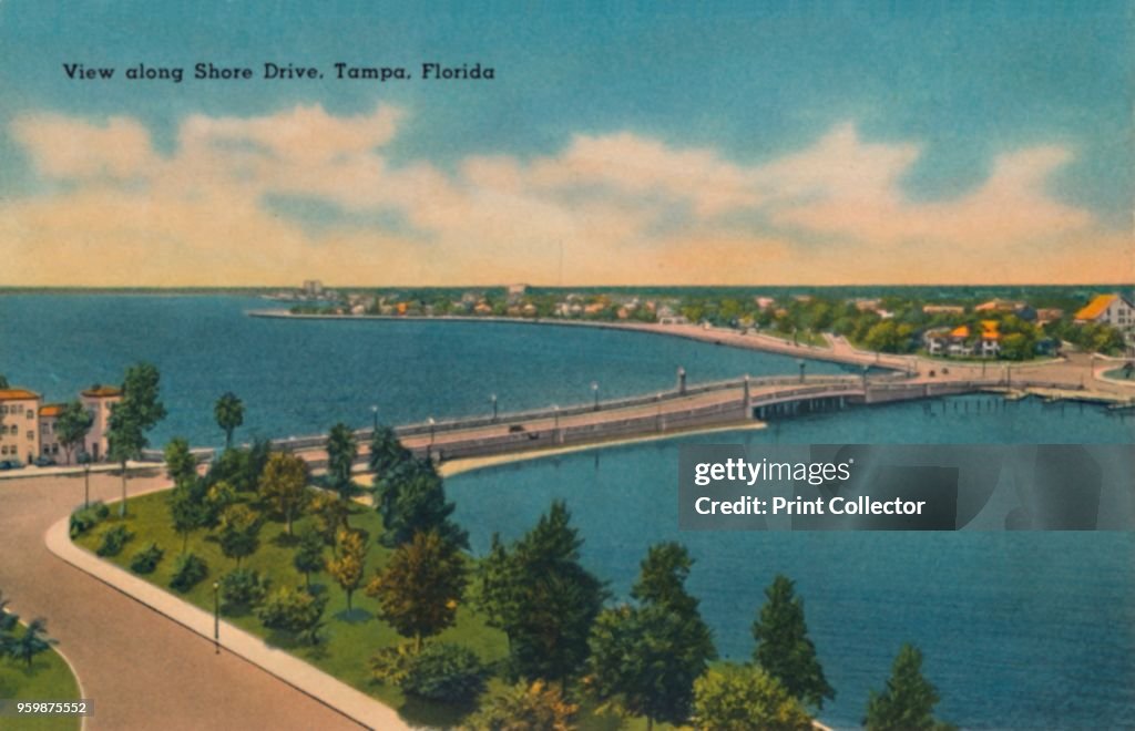 View Along Shore Drive