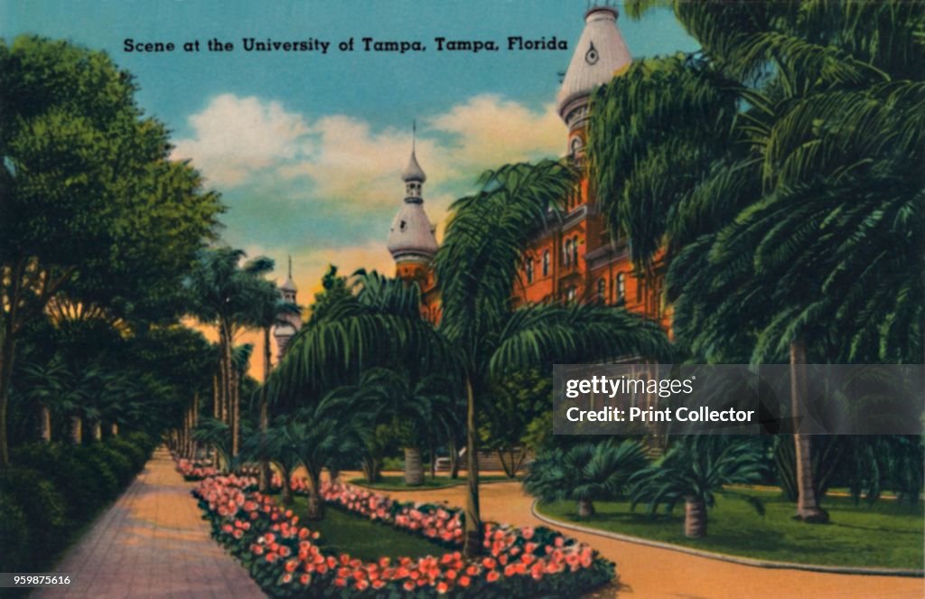 Scene At The University Of Tampa