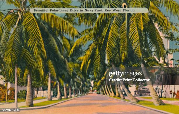 Beautiful Palm-Lined Drive in Navy Yard, Key West, Florida', circa 1940s. From Souvenir Folder of Quaint Key West Fla. [Tichnor Quality Views,...