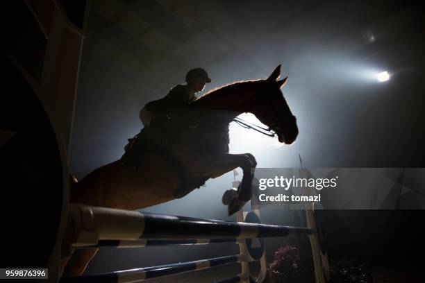 sagoma di un cavallo e di un cavaliere che saltano oltre l'ostacolo - evento equestre foto e immagini stock