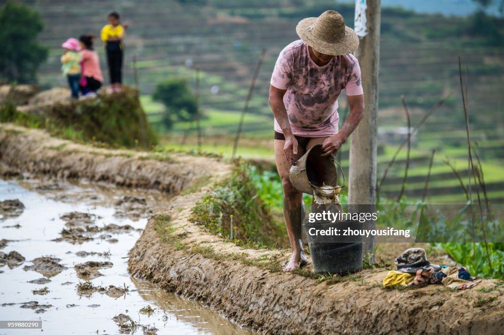 The farmer and children are catching fish in the terrace