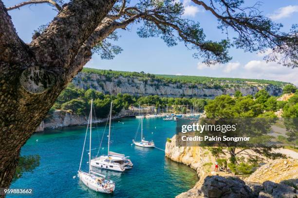 beautiful nature of calanques on the azure coast of france. - marseille - fotografias e filmes do acervo