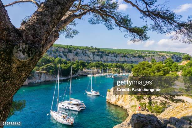 beautiful nature of calanques on the azure coast of france. - riviera francesa imagens e fotografias de stock