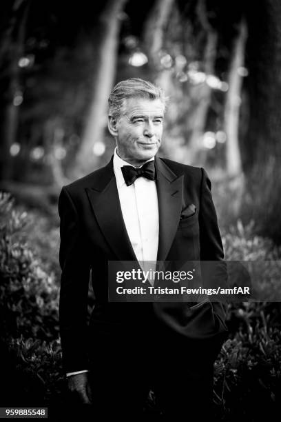 Pierce Brosnan attends the amfAR Gala Cannes 2018 dinner at Hotel du Cap-Eden-Roc on May 17, 2018 in Cap d'Antibes, France.