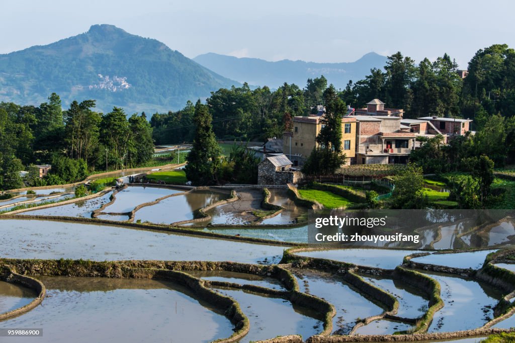 The scenery of terraced fields