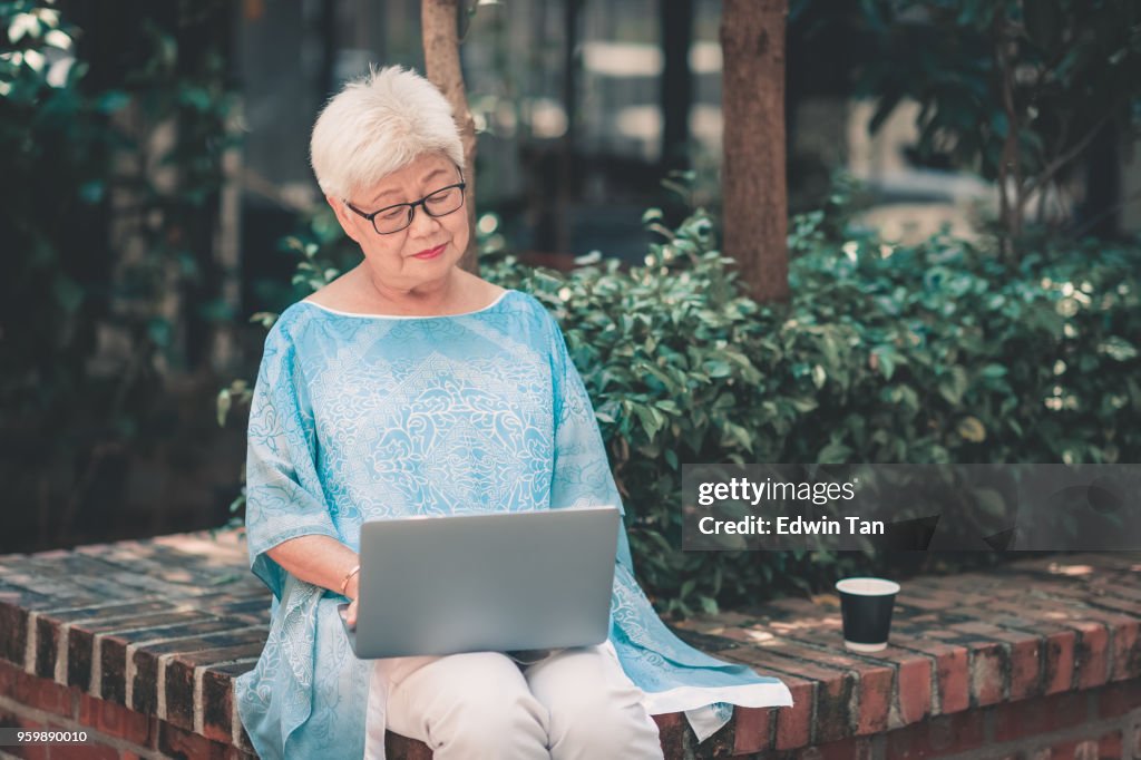 Matured asian chinese female looking on laptop