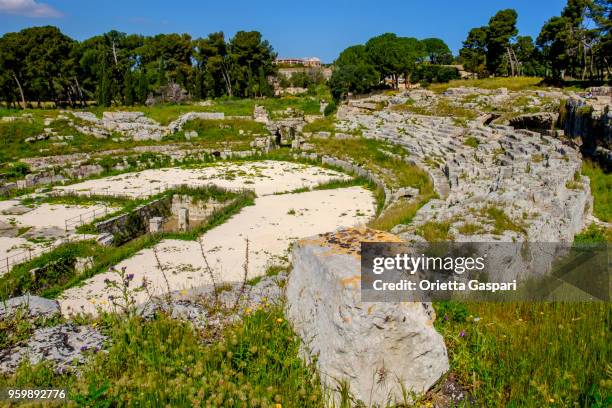 syracuse, romeinse amfitheater - sicilië, italië - klassiek theater stockfoto's en -beelden