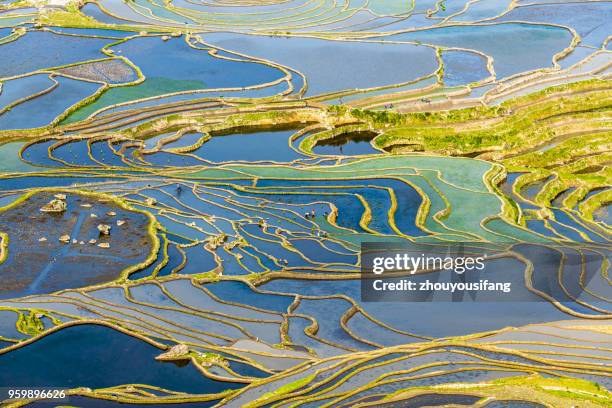 the terraced fields of spring and the people working in the terraced fields - unesco world heritage site stock pictures, royalty-free photos & images