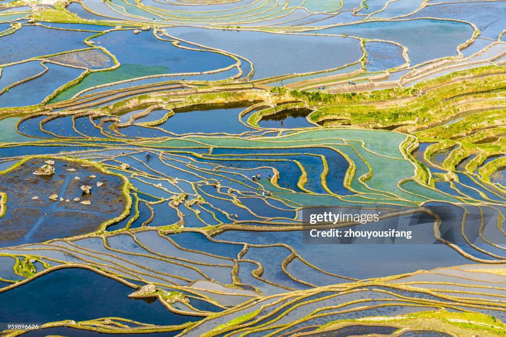 The terraced fields of spring and the people working in the terraced fields