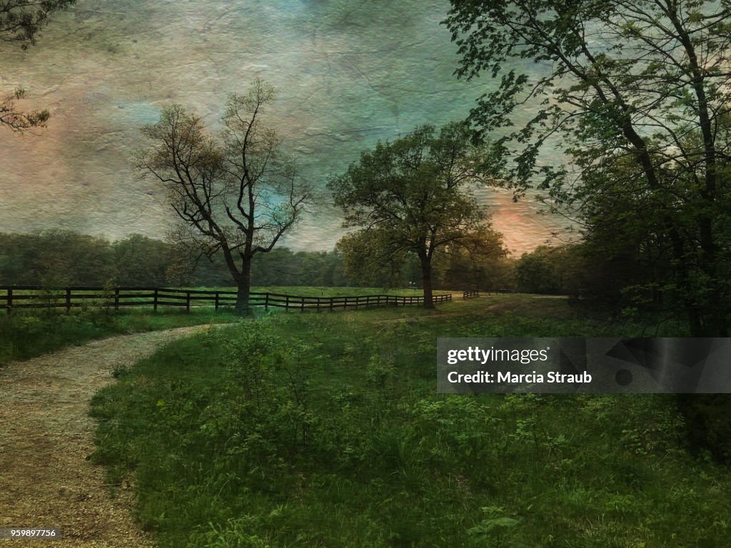 Country Lane at Sunset