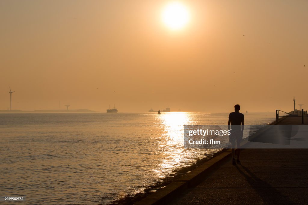 Silhouette of a guy walking on the mole near the sea at sunset (Rotterdam/ Hook of Holland, Netherlands)