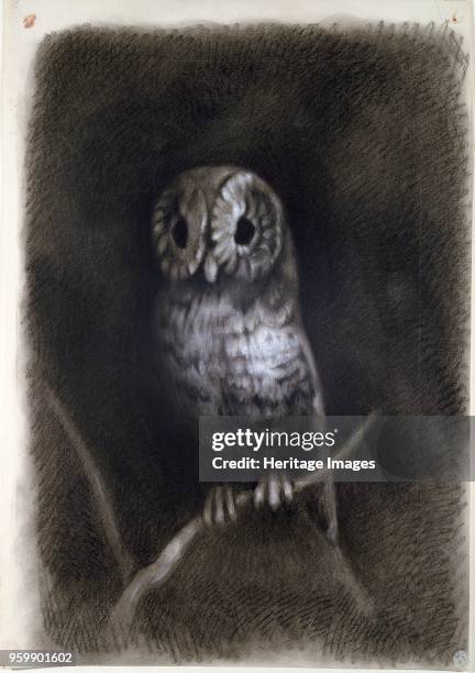 Owl, copied from a Photograph of Mantegna's Fresco of The Martyrdom of Saint James in the Church of Eremitani, Padua, 1872 or earlier. Artist Arthur...