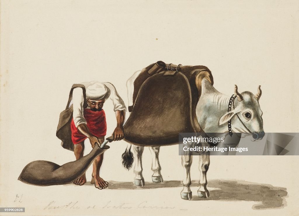 Water-Carrier