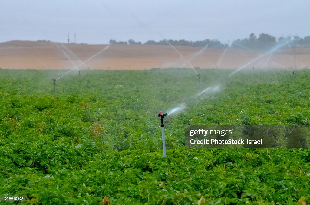 Sprinkler irrigation