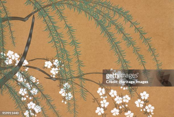 Yanagi Sakura, from Momoyo-gusa The World of Things Vol II, pub.1909 colour block woodcut. A Willow and Cherry Blossoms; )