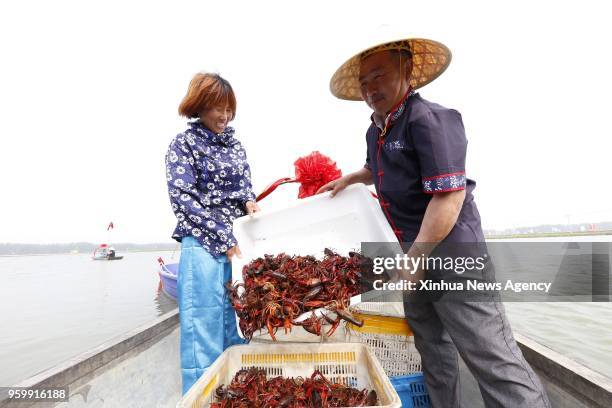May 18, 2018 -- People harvest crayfish in Mingzuling Town of Xuyi County, east China's Jiangsu Province, May 18, 2018. Xuyi County is famous for its...
